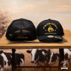 Gorra Hooey
